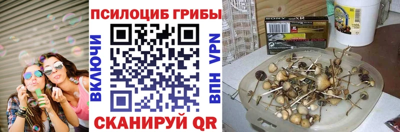 мега ONION Иланский Галлюциногенные грибы прущие грибы